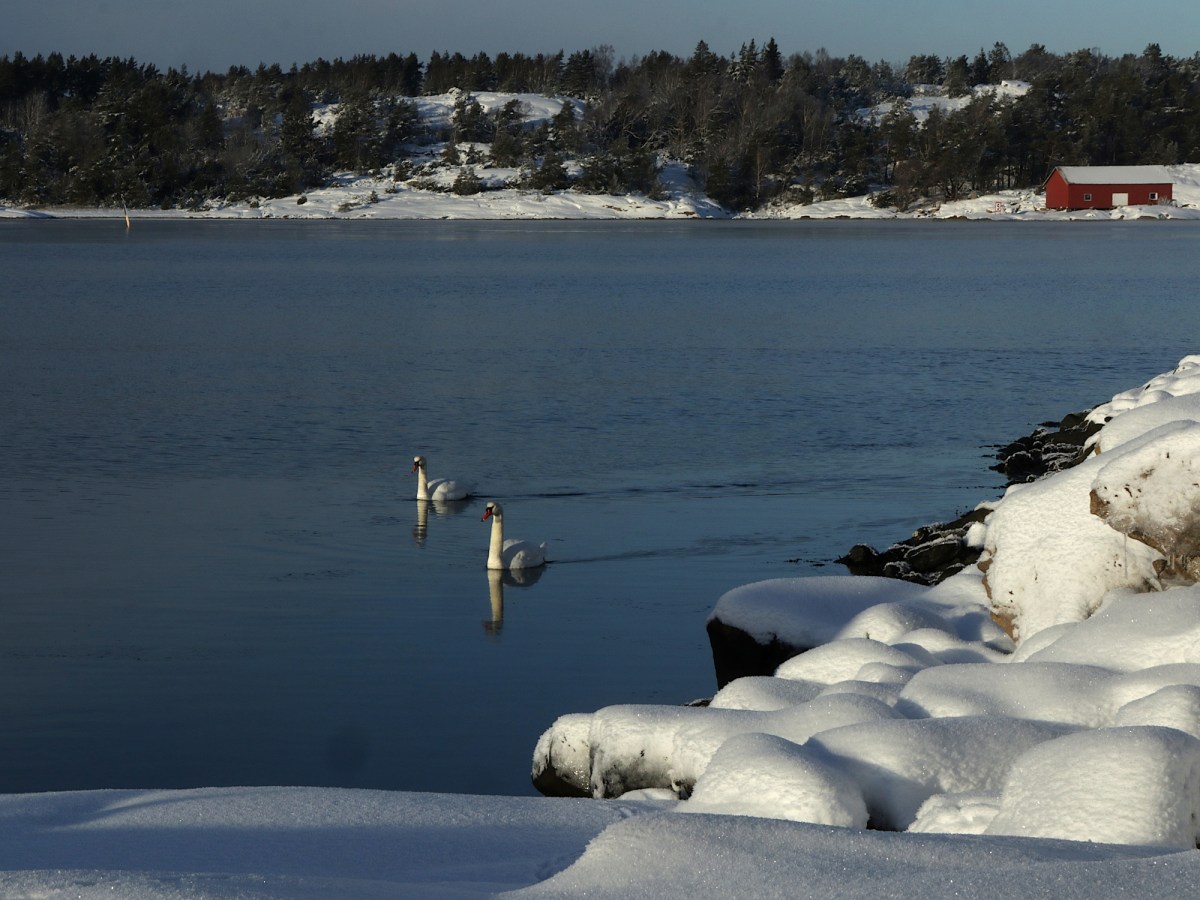 Årets kallaste dag&nbsp;#5