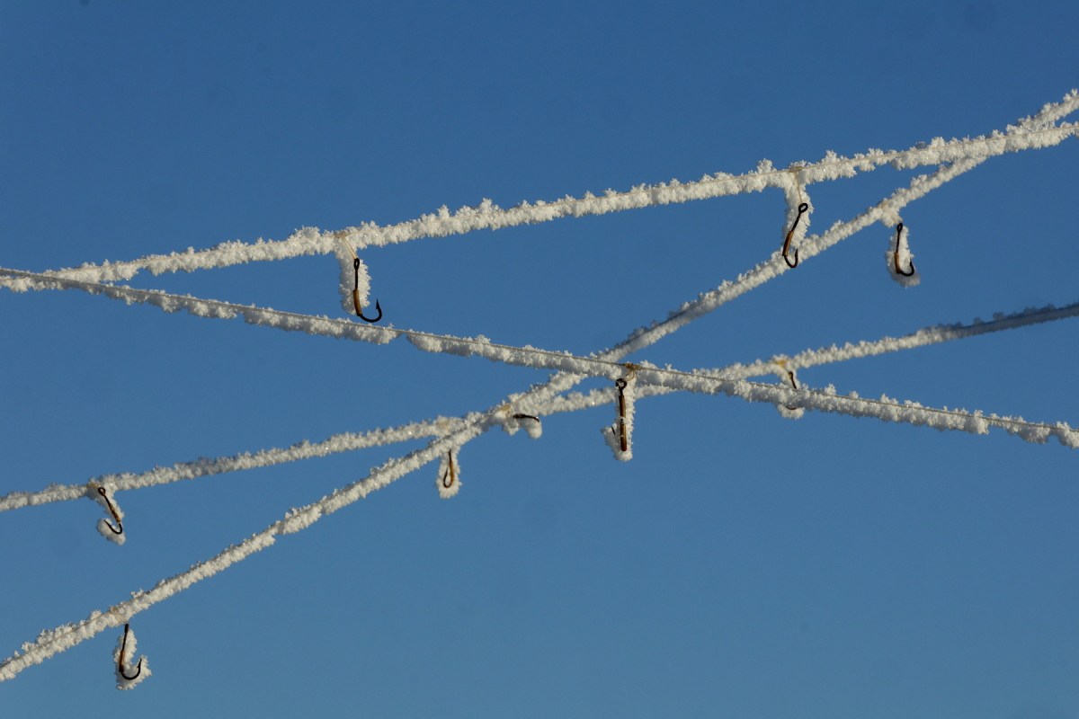 Årets kallaste dag&nbsp;#3