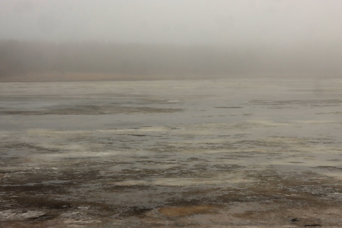 Fågelskådarens last  #1