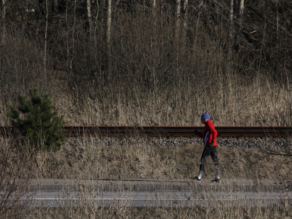 Väntan på kärrhöken&nbsp;3(3)