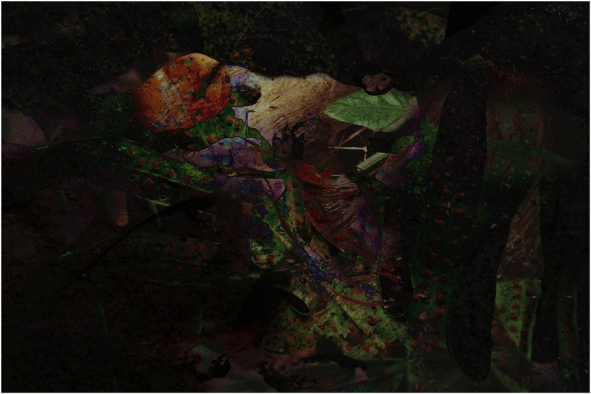 Art 96